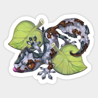 Satanic Leaf Gecko Sticker